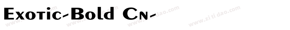 Exotic-Bold Cn字体转换